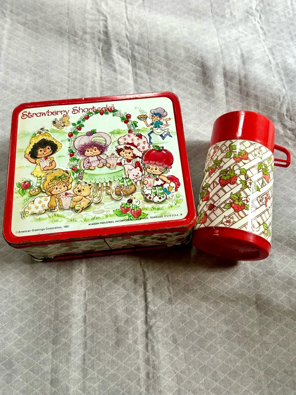 Vintage 1981 Original Strawberry Shortcake Aladdin Metal Lunchbox & Thermos Set
